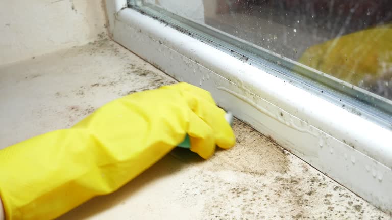 Best Emergency Mold Remediation  in Lake Zurich, IL